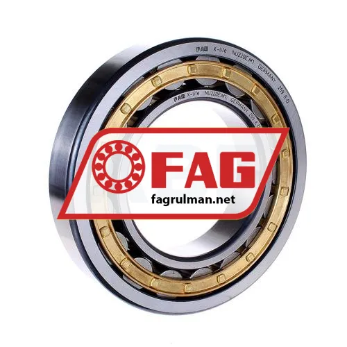 FAG NU220-E-M1