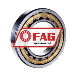 FAG NU220-E-M1