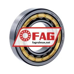 FAG NU209-E-M1-C3