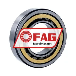 FAG NU209-E-M1-C3 rulman resim 2