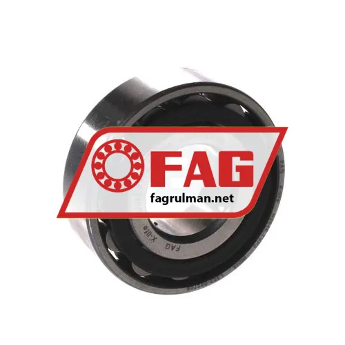 FAG N204-E-TVP2