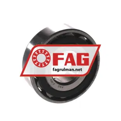 FAG N204-E-TVP2