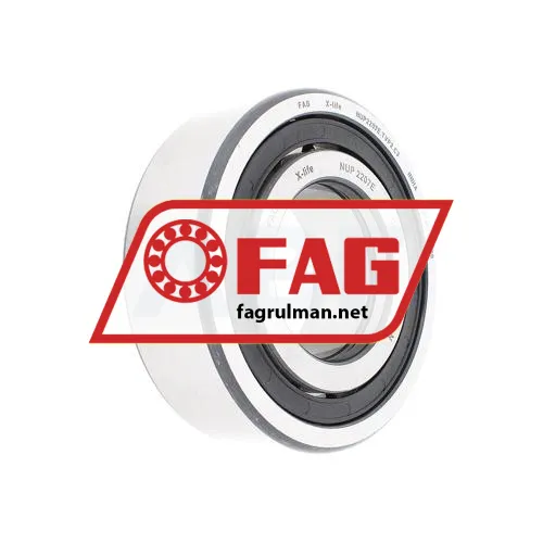 FAG NUP2207E-TVP2-C3