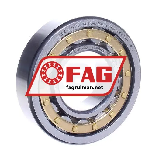 FAG NU310E-M1-C3