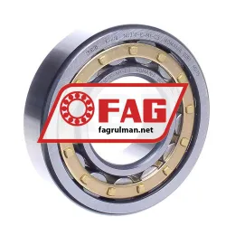 FAG NU310E-M1-C3