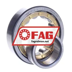 FAG NU310E-M1-C3 rulman resim 3