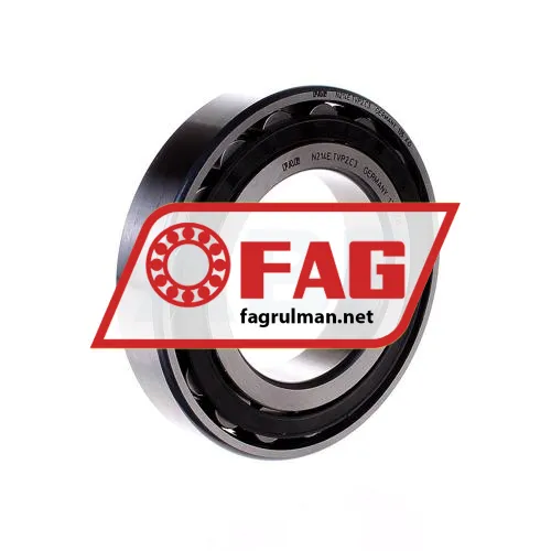 FAG N214E-TVP2-C3