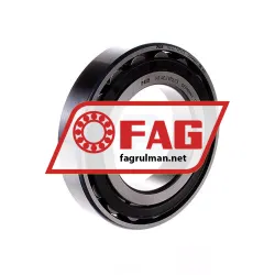 FAG N214E-TVP2-C3