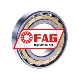 FAG N210E-M1
