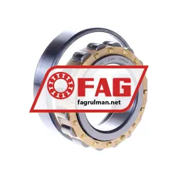 FAG N210E-M1 rulman resim 2
