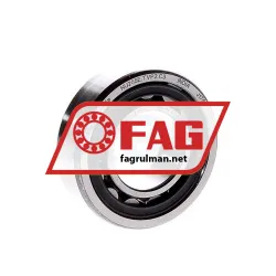 FAG NU205E-TVP2-C3
