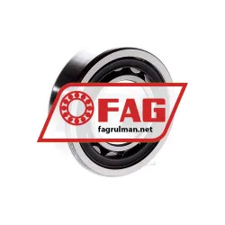 FAG NU205E-TVP2-C3 rulman resim 2
