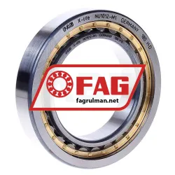 FAG NU1012M1