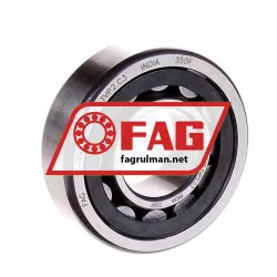 FAG NJ204E-TVP2-C3