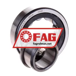 FAG NJ204E-TVP2-C3 rulman resim 2