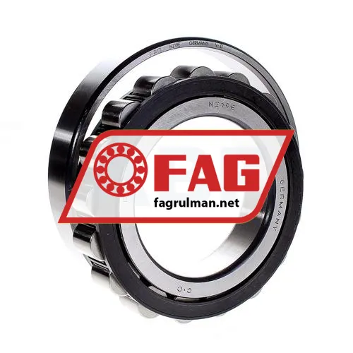 FAG N219E-TVP2 ürün fotoğrafı 2