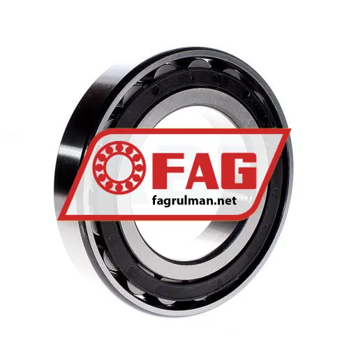 FAG N219E-TVP2 ürün fotoğrafı 3