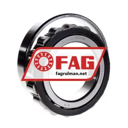 FAG N219E-TVP2 rulman resim 2