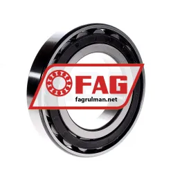 FAG N219E-TVP2 rulman resim 3