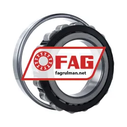 FAG N226-E-XL-TVP2