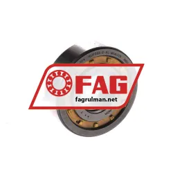 FAG NUP203-E-XL-M1A-C3