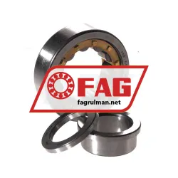 FAG NUP203-E-XL-M1A-C3 rulman resim 3