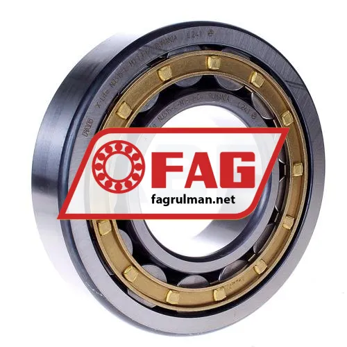 FAG NJ315-E-M1-F1-C4