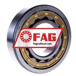 FAG NJ315-E-M1-F1-C4