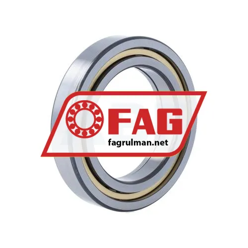 FAG NUP1013-XL-M1 ürün fotoğrafı 2