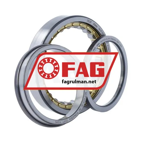 FAG NUP1013-XL-M1 ürün fotoğrafı 3