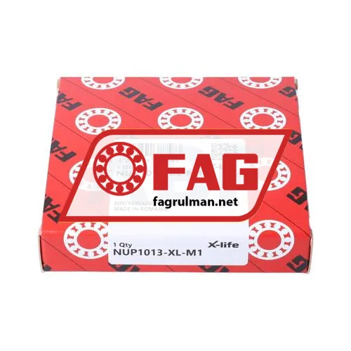 FAG NUP1013-XL-M1 ürün fotoğrafı 4