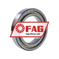 FAG NUP1013-XL-M1