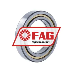 FAG NUP1013-XL-M1 rulman resim 2