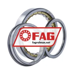 FAG NUP1013-XL-M1 rulman resim 3