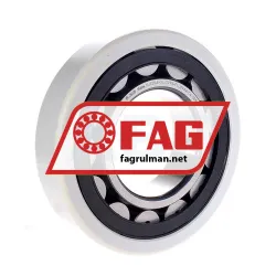 FAG NJ320-E-XL-TVP2-F1-J20AA-C4