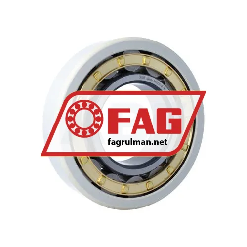 FAG NU319-E-XL-M1-J20AA-C3