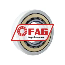 FAG NU319-E-XL-M1-J20AA-C3 rulman resim 2