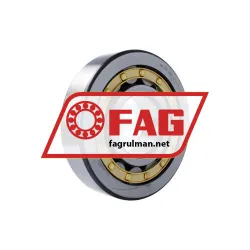 FAG NJ419-XL-M1