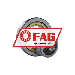 FAG NJ419-XL-M1 rulman resim 3