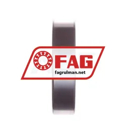 FAG LN207E rulman resim 3