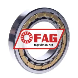 FAG NU215E-M1