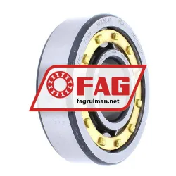 FAG NJ305E-M1