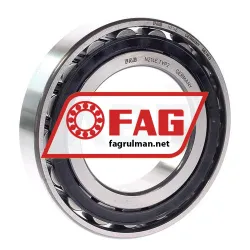 FAG N214-E-TVP2