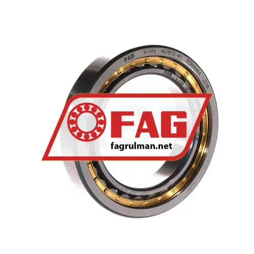 FAG NU1013-M1