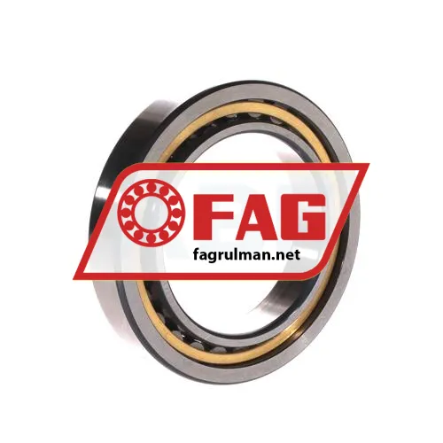 FAG NU1013-M1 ürün fotoğrafı 2