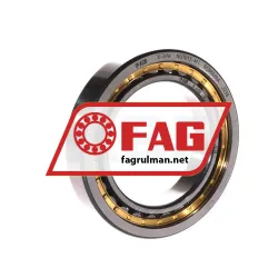 FAG NU1013-M1