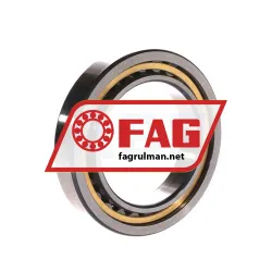 FAG NU1013-M1 rulman resim 2