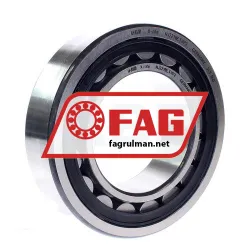 FAG NJ2219-E-TVP2