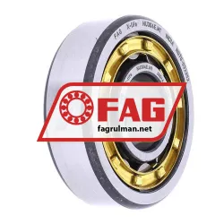 FAG NU304E-M1