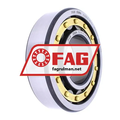 FAG NJ310-E-M1-C4